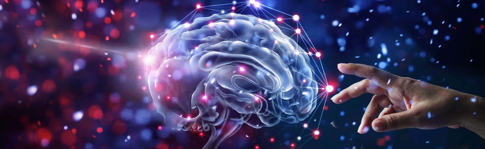 Neurological Conditions Therapy and Rehabilitation